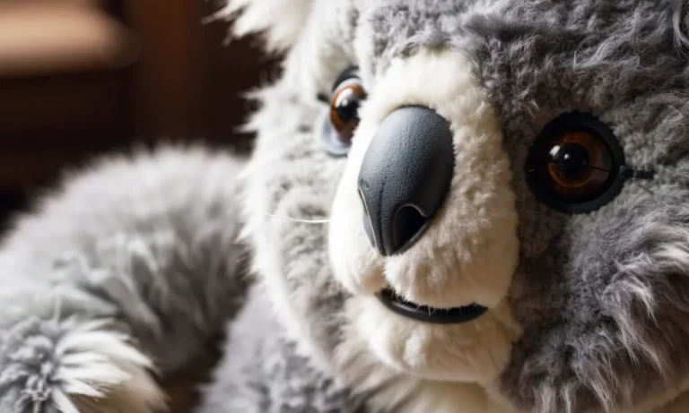 I Tested And Reviewed 10 Best Koala Stuffed Animal (2023)